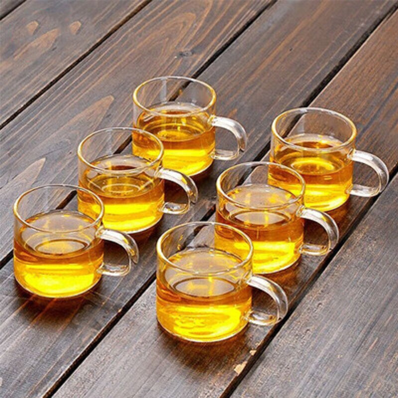 Magnetic Glass Tea Maker Set with Storage Bottle - Simple Home Brewing Kit