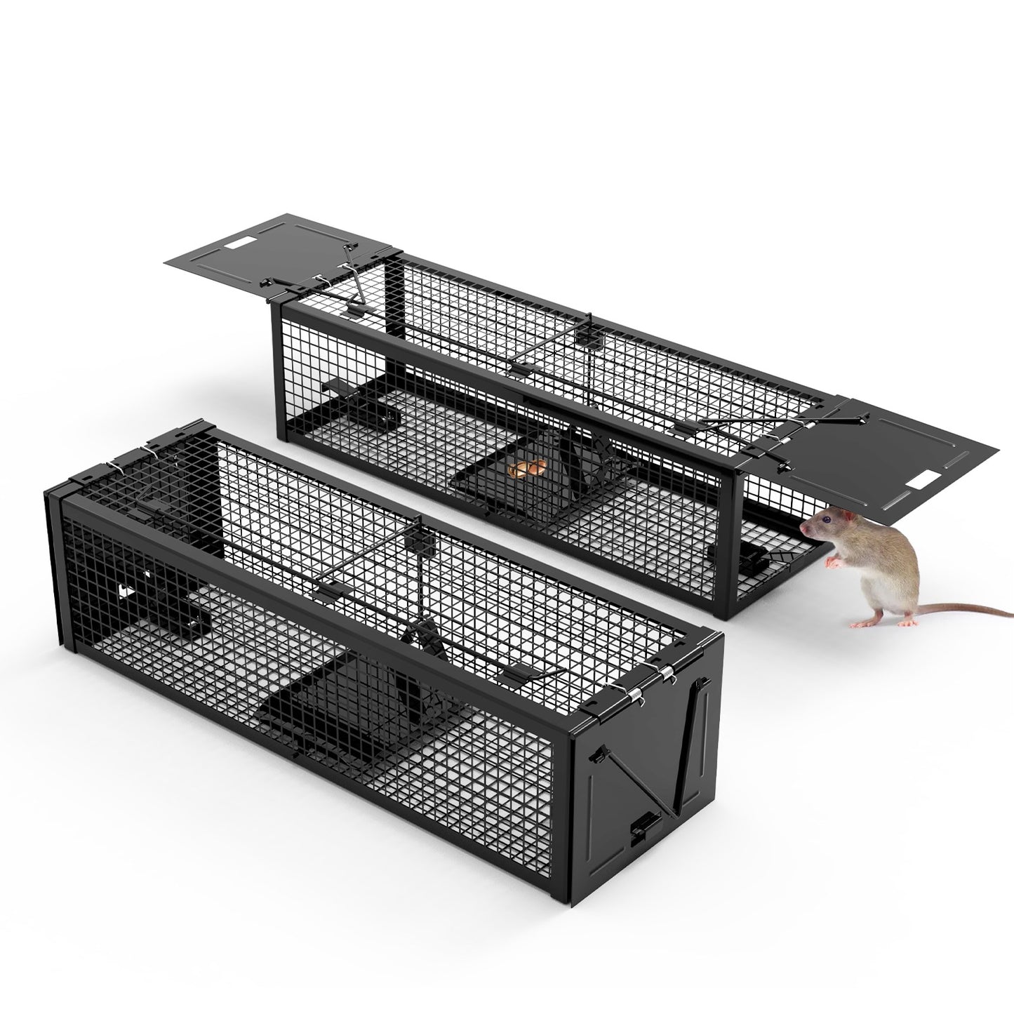 Humane Live Rat Trap - 2-Door Heavy-Duty Galvanized Iron Cage