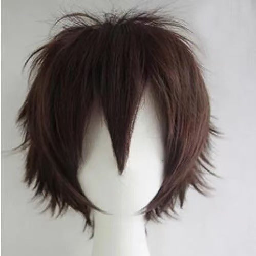 Cosplay Wig - High Temperature Fiber, Multiple Colors