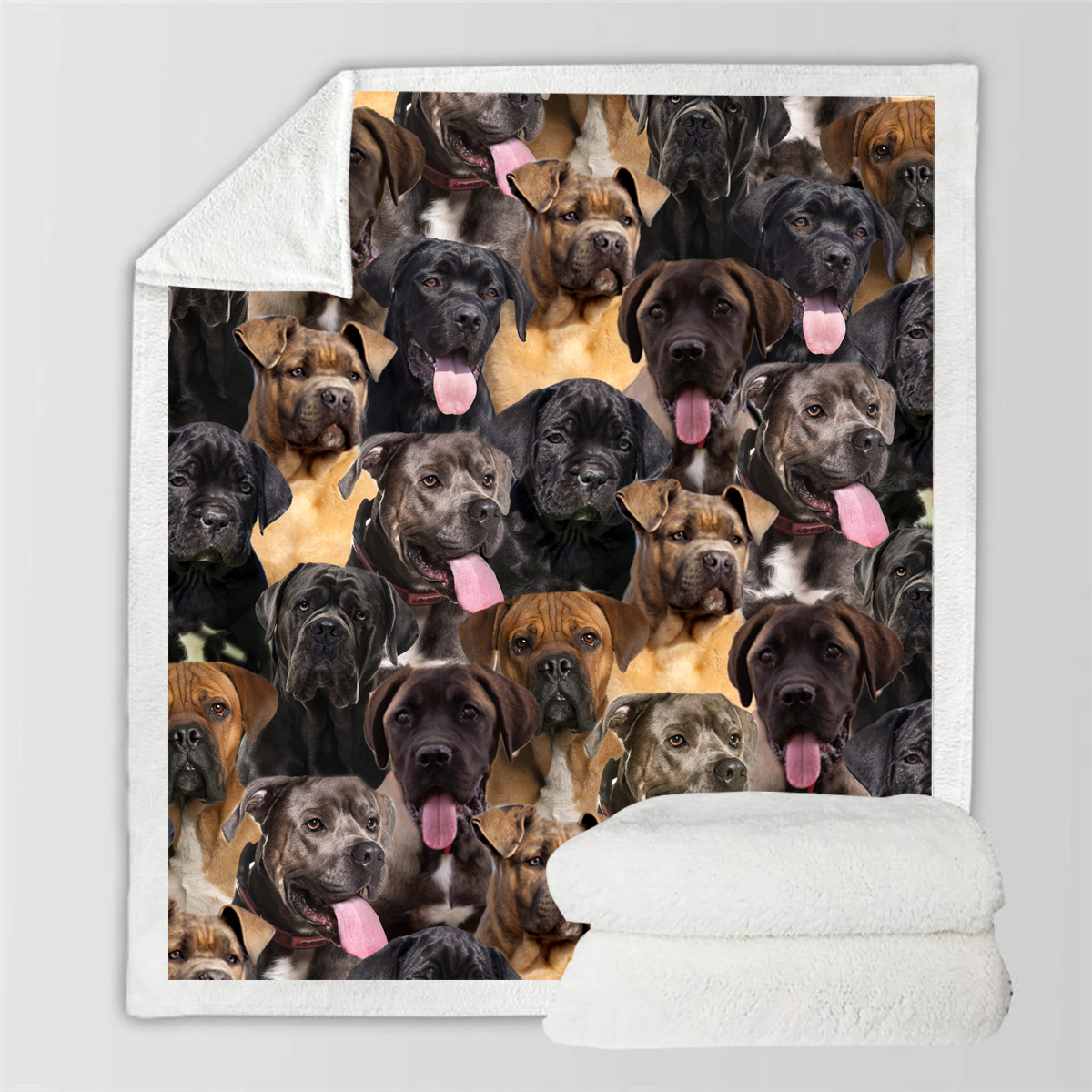 Printed Flannel Pet Dog Blanket - Multiple Sizes & Styles