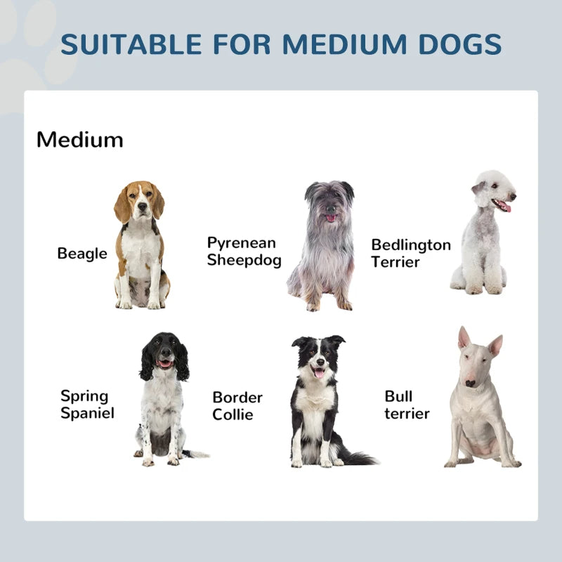 Heavy Duty Elevated Dog Food Bowl Set - Double Stainless Steel Pet Feeder Stand