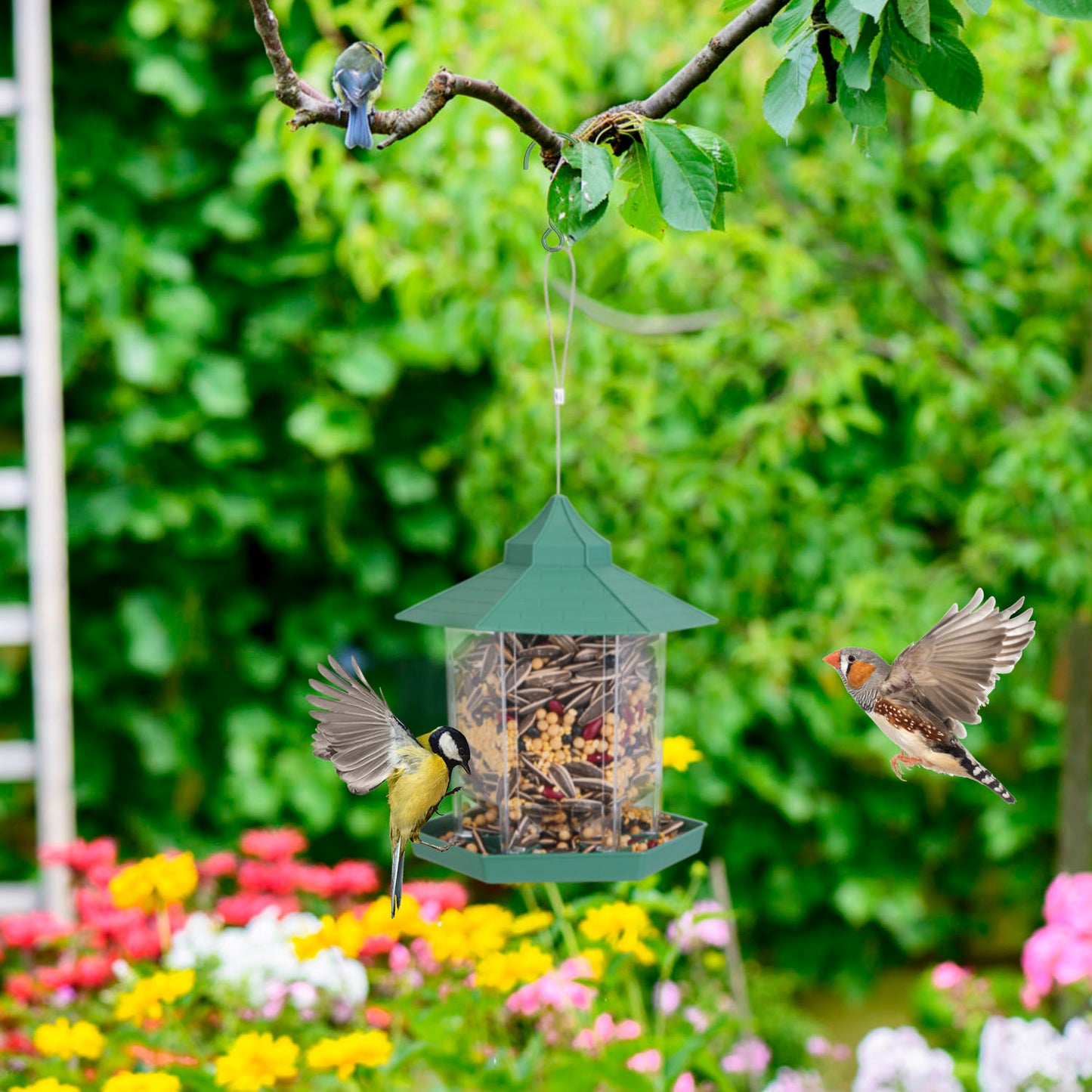Hanging Bird Feeder with Large Capacity and 6 Feeding Ports for Garden Patio Park