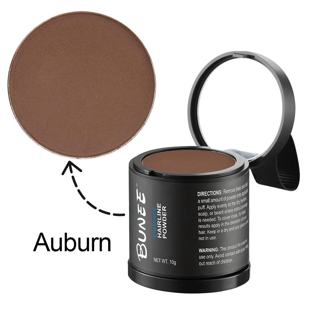Hairline Powder 10G Filling Repair
