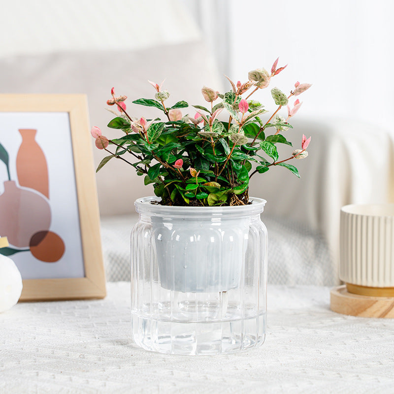 Self-Absorbent Hydroponic Flowerpot for Indoor Gardening - Transparent & Durable Plastic
