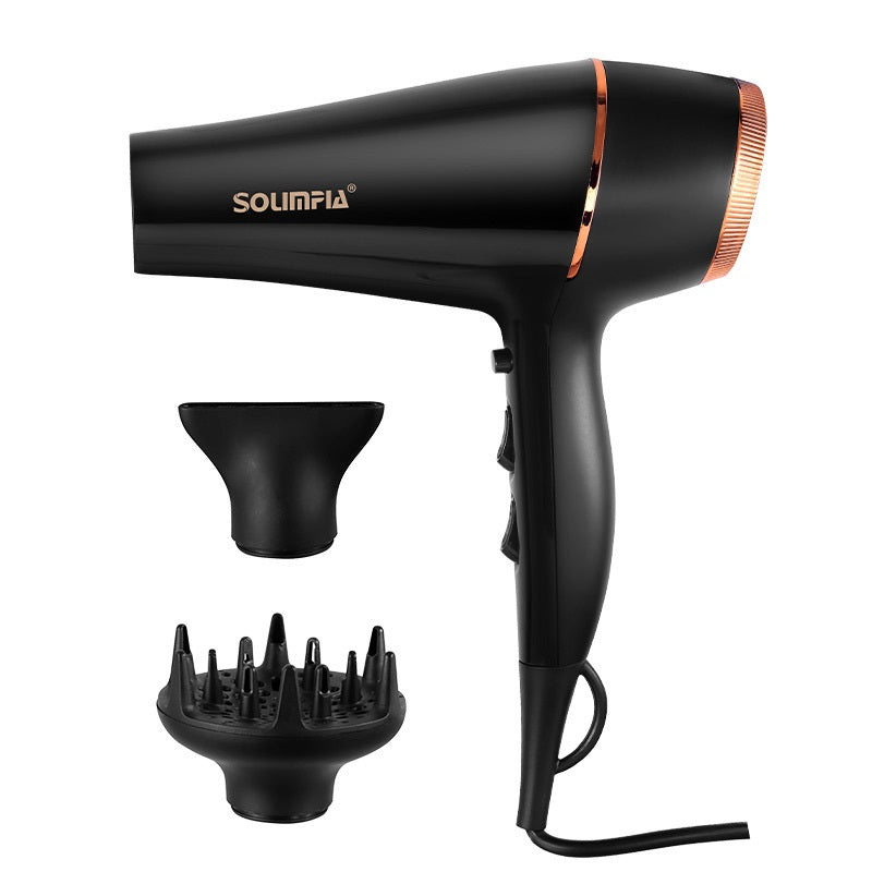 High Power Electric Hair Dryer with 5-Speed Air Temperature and Negative Ion
