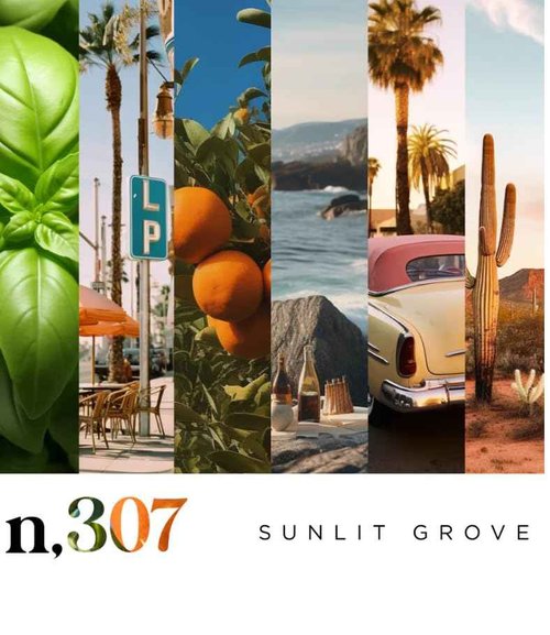 Noteworthy Essentials Trio Travel Spray Bundle – 3-Piece Fragrance Set for Men & Women, Long-Lasting Perfume, TSA-Approved, Perfect for Gift Giving