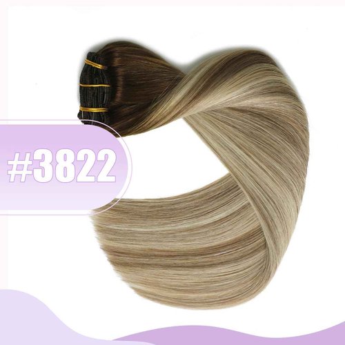 Sindra Clip in Hair Extensions Balayage Darker Brown to Ash Brown Highlights Golden Blonde 16 Inch 100g 6pcs Hair Extensions Clip Ins Remy Thick Ends #3/8/22 16''