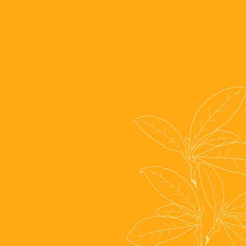 SheaMoisture Low Porosity Weightless Hydrating Shampoo For Moisture Resistant, Curly, Coily Hair Lightweight Hair Shampoo 13 fl oz