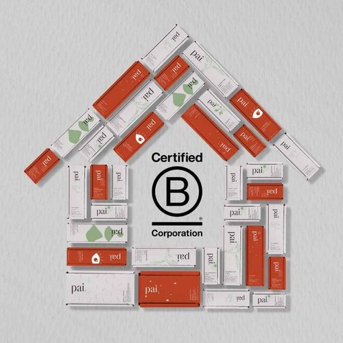 Pai Skincare - All Becomes Clear: Organic Copaiba + Zinc Blemish Serum | Natural, Vegan, Sensitive Skincare (1 fl oz | 30 mL)