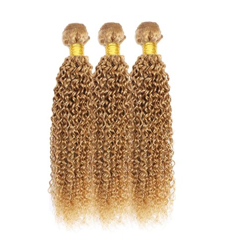 Biliisyff Color #27 Honey Blonde Curly Human Hair Bundles Brazilian Virgin Remy Hair Extensions Double Weft Color 27 Bundles Human Hair Honey Blonde Curly Wave 20 22 24 Inch