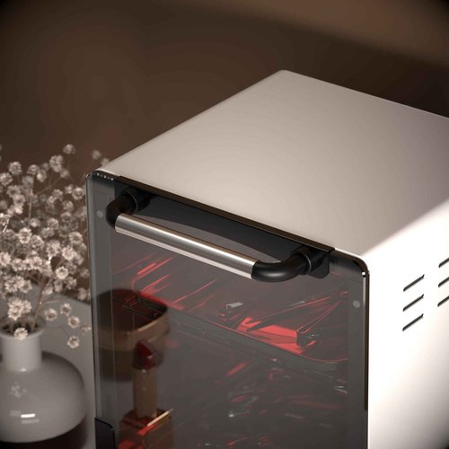 Sterilizer for Nail Tools, 12L Multifunctional High Temperature Cleaning Dry Box Stainless Steel with Temp Control, Timer, 2 Stainless Trays, Tweezer Sterilizer, Nail Salon Equipment, 110V 1000W