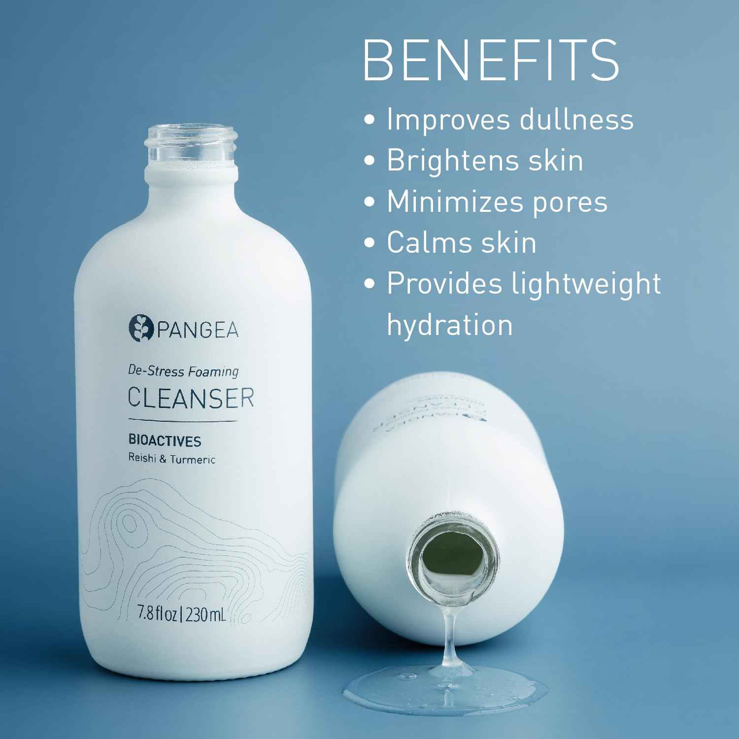 Pangea Organics Natural Reishi + Turmeric De-Stress Foaming Facial Cleanser | Vegan, Non-Toxic, Gentle & Hydrating | Sustainable Glass Bottle (7.8 fl oz | 230 ml)