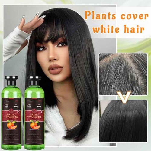 Fruit Vinegar Hair color | Ammonia Free | Gray Coverage | Non-Staining | Long-Lasting | 33.8 fl oz |1000 ml | Unisex Hair Color | Natural Black