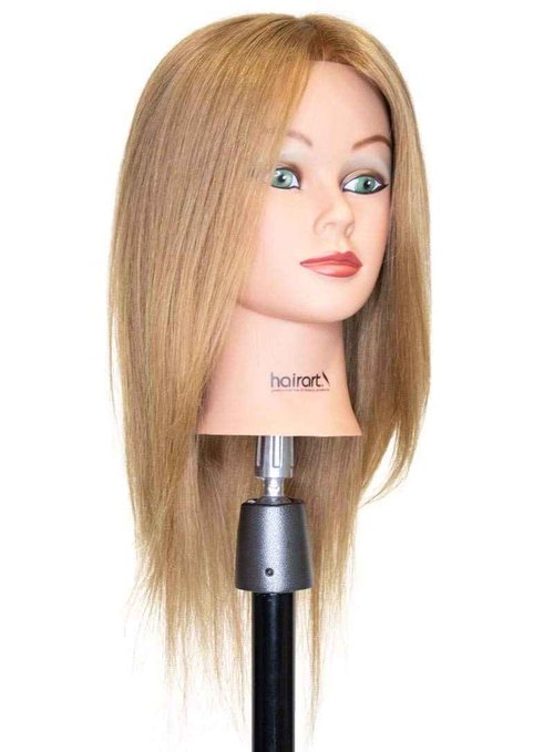 Chantal Cosmetology Training Head, European Hair Mannequin for Practice, [100% European Hair Mannequin] Training Head (Light Brown)