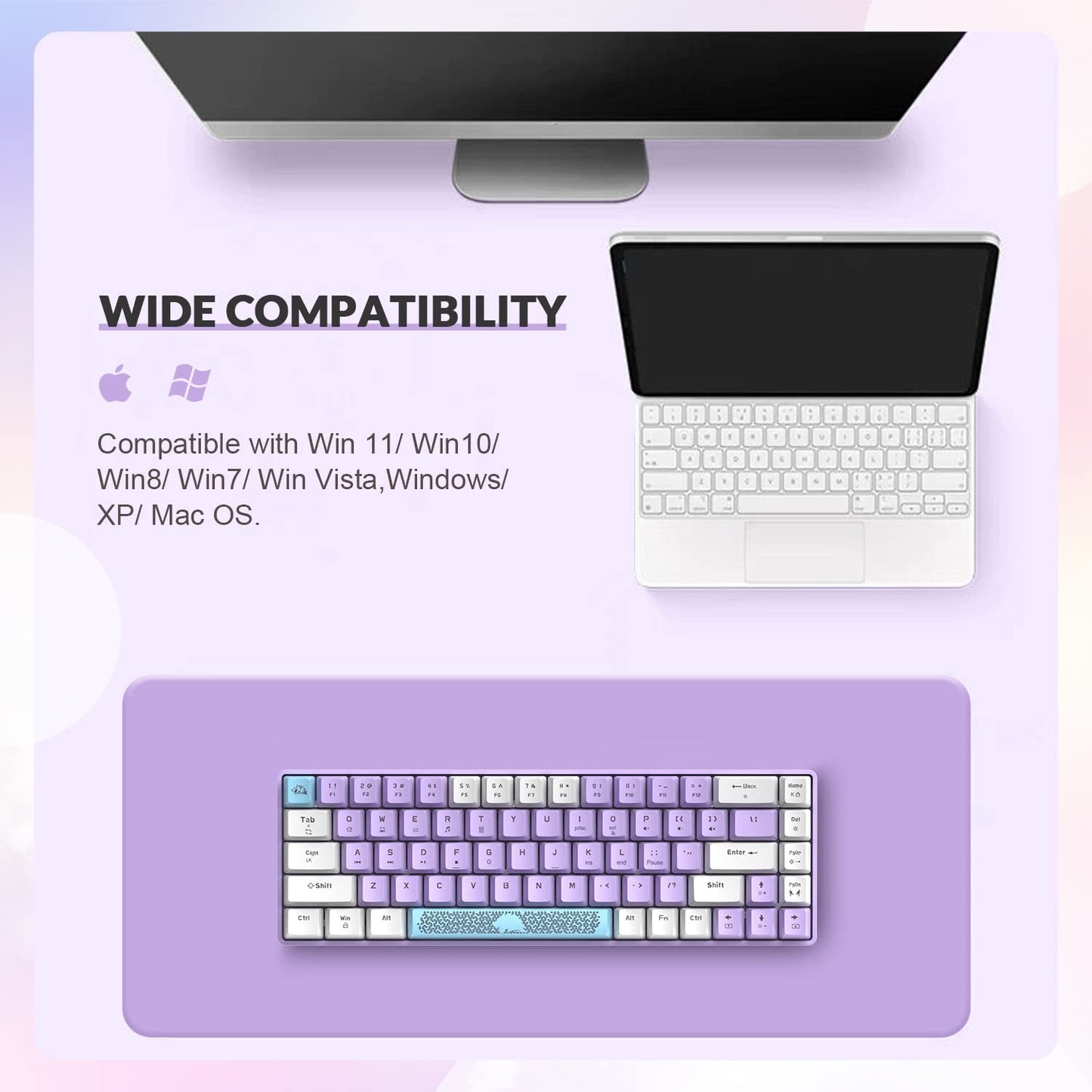 ZIYOU LANG RK-T8 Wired 65% Mechanical Gaming Keyboard with RGB LED Backlit Anti-ghosting TKL Mini 68 Key Custom Coiled C to A Cable Tactile Blue Switch for PS4 PS5 Xbox PC Mac Gamer(Lavender)
