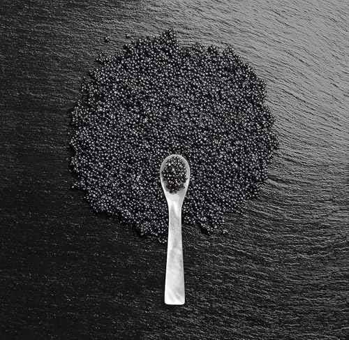 Alterna Caviar Anti-Aging Infinite Color Hold Shampoo and Conditioner Set, 8.5-Ounce (2-Pack)