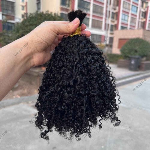 Afro Kinky Curly Bulk Human Hair Extensions Double Drawn Brazilian Virgin Braiding Hair For Boho Box Braids Afro Kinkys Crochet Hair Walnut hair 95-100g 24Inch 1Bundle