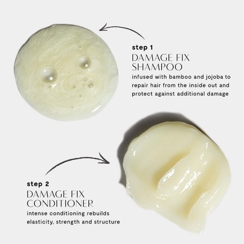 Prive Damage Fix Conditioner - Repairs Dry and Over-Processed Hair From Within Protects Future Additional