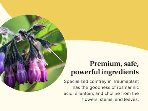 Terry Naturally Traumaplant Comfrey Cream - Non-Staining Herbal Cream - Clinically Studied and Free of Pyrrolizidine Alkaloids - for External Use Only - 3.53 oz (2 Pack)