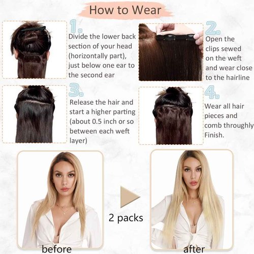 Clip in Hair Extensions Human Hair S-noilite Gray Human Hair Hair Clip in Extensions Full Head 8 Pieces/18 Clips 100% Real Human Hair Silky Straight 18"-100g Light Gray (#G1)