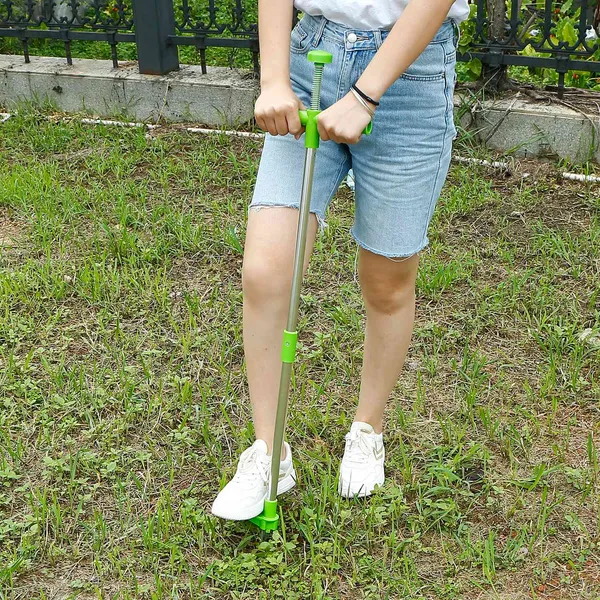Stand-Up Weed Puller Tool with Long Handle and Root Removal Claws - Aluminum