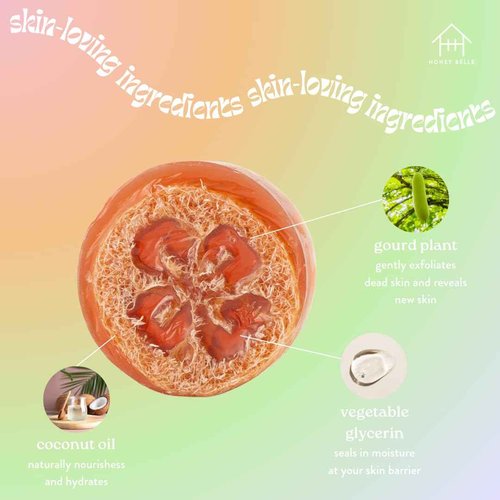 Honey Belle Exfoliating Loofah Soap Bar Top Selling 5 Pack | Exfoliating Soap Scrub with Loofah Inside | Eco-Friendly, Plant-Based, Moisturizing, All-Natural Soap with Built In Loofah