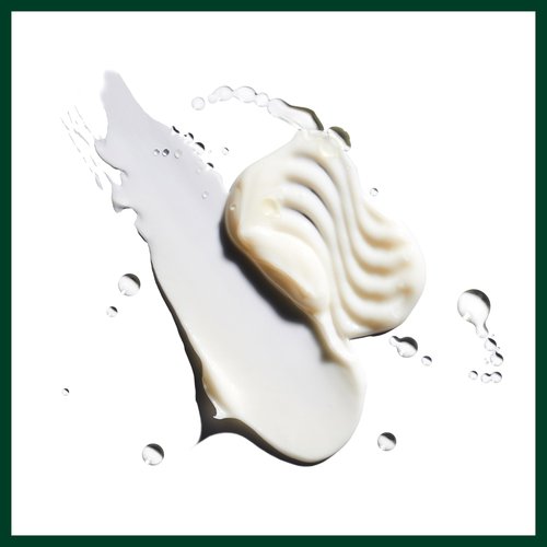 Aveda Nutriplenish Deep Moisture Shampoo & Conditioner Duo | for Dry to Very Dry Hair | Organic Pomegranate Oil, Coconut Oil, Mango Butter | 8.5 Fl Oz