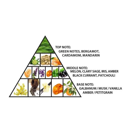 Al Haramain Green Dubai for Unisex - Arabian Perfume for Women and Men - Floral Woody Musk Fragrance - Long Lasting Arabic Cologne - Extrait De Parfum - 3.33 oz EDP Spray