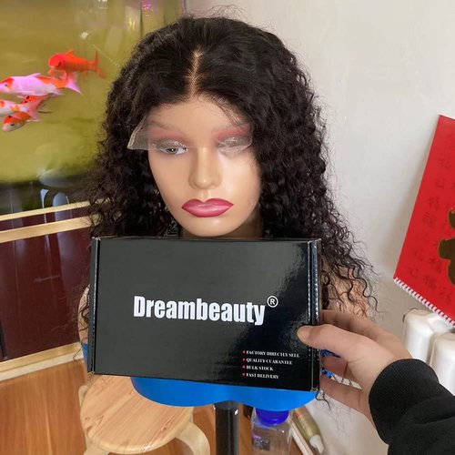 Dreambeauty 300% Density 13x6” Transparent Lace Front Human Hair Wigs Water Wave Brazilian Remy Human Hair 6 Inch Deep Part Lace Front Wig with Baby Hair for Women (16 Inch)