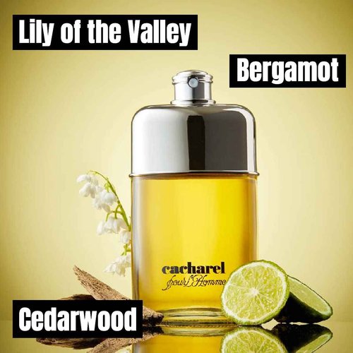 Cacharel Pour L'Homme Eau de Toilette Cologne for Men, Woody, Spicy and Floral Fragrance, Notes of Bergamot, Lily of the Valley Accord and Cedar Wood, Fresh Long Lasting Scent, 3.4 Fl Oz