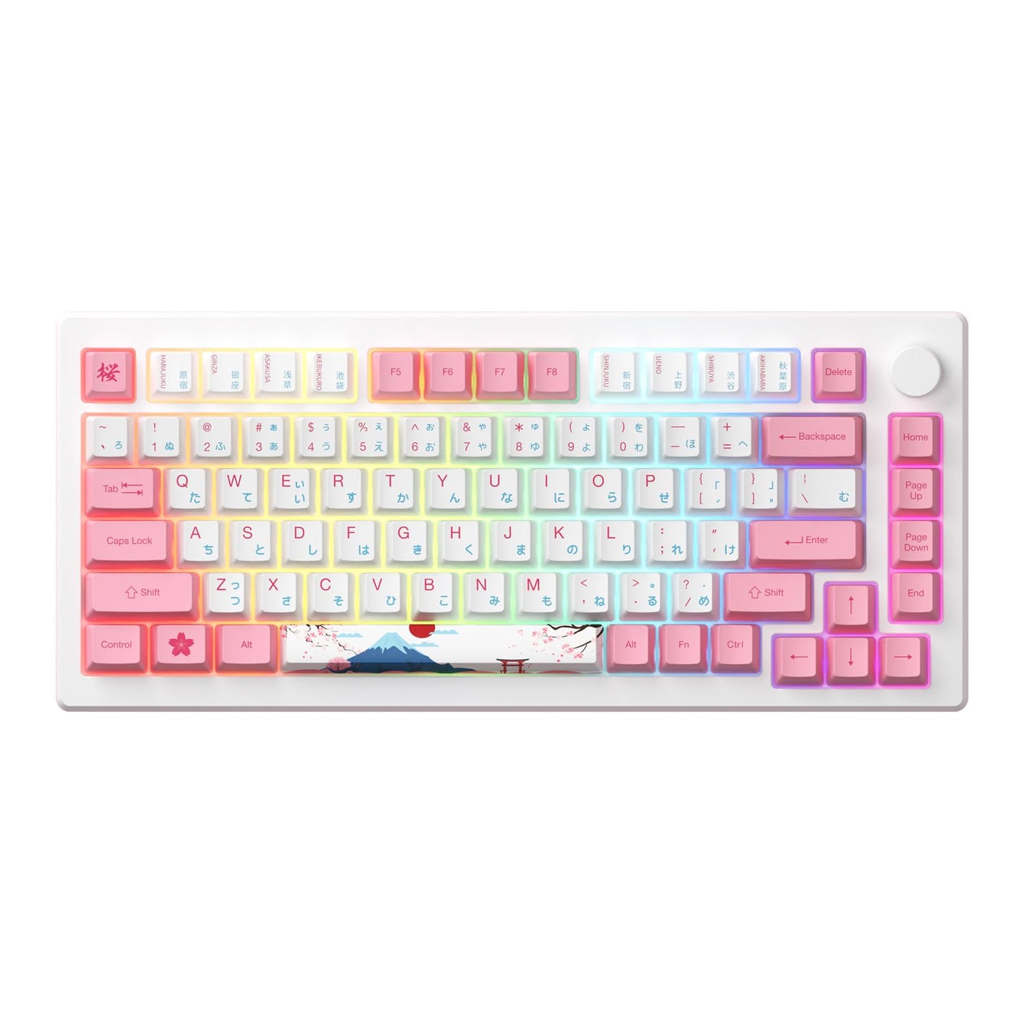 Akko Magnetic Switches Rapid Trigger Gaming Keyboard, MOD007B HE PC World Tour Tokyo Wired/Wireless 75% 8k Polling Rate Mechanical Keyboard with Knob, RGB Backlit (Kailh Sakura Pink Magnetic Switch)