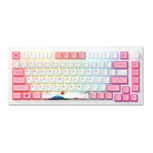 Akko Magnetic Switches Rapid Trigger Gaming Keyboard, MOD007B HE PC World Tour Tokyo Wired/Wireless 75% 8k Polling Rate Mechanical Keyboard with Knob, RGB Backlit (Kailh Sakura Pink Magnetic Switch)