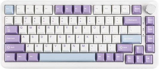 AJAZZ AK820 MAX HE Hall Effect Magnetic Gaming Keyboard, Adjustable Actuation, 8KHz Polling Rate, Wired Rapid Fast Keyboard, Creamy Gasket, RGB Backlight, NKRO for Win/Mac (Gradient Grey)