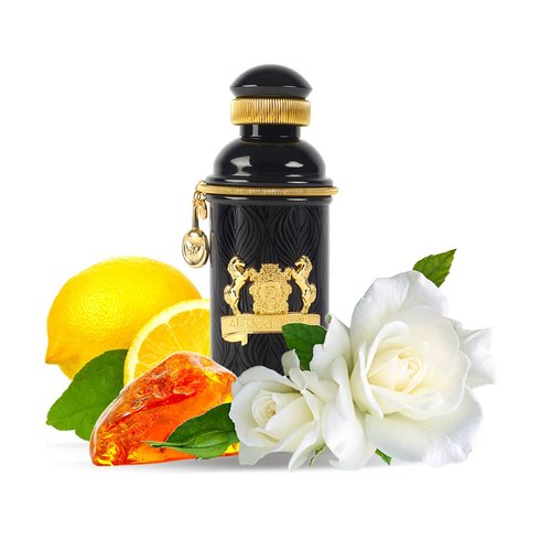 Alexandre J Black Muscs Eau de Parfum Spray for Women, 3.4 Ounce