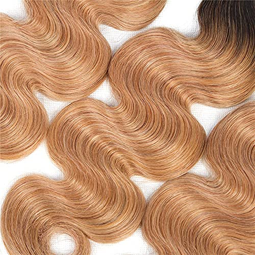 Honey Blonde Body Wave Bundles Human Hair T1B/27 Ombre Bundles Double Weft Brazilian Human Hair Sew-In Weave Extensions 26 28 30 Inch£¨Black Ombre Honey Blonde£©
