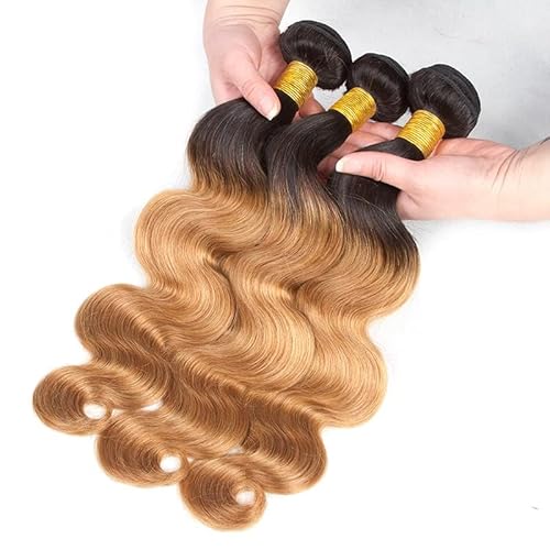 Honey Blonde Body Wave Bundles Human Hair T1B/27 Ombre Bundles Double Weft Brazilian Human Hair Sew-In Weave Extensions 26 28 30 Inch£¨Black Ombre Honey Blonde£©