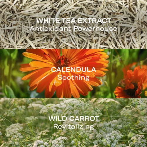 ODACITE Odacit? Face Cream Moisturizer - Oleosomes Hydrating Cream - Anti-Aging Lightweight Facial Moisturizer with Hyaluronic Acid for Hydration and Fine Lines, 1.69 fl. oz