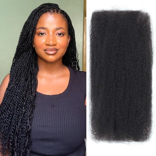 Afro Kinkys Bulk Human Hair, 22 inch 50 Gram 4c Curly Hair for Permanent Sister Locs/Mini Twists/Braids Can Dye and Bleach (Natural Black, 22 Inch)