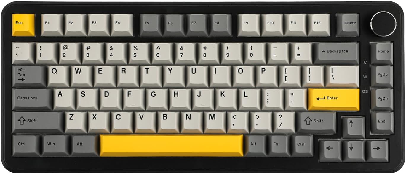 AJAZZ AK820 MAX HE Hall Effect Magnetic Gaming Keyboard, Adjustable Actuation, 8KHz Polling Rate, Wired Rapid Fast Keyboard, Creamy Gasket, RGB Backlight, NKRO for Win/Mac (Gradient Grey)