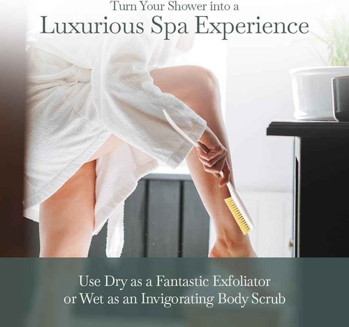 Fuller Brush Exfoliator & Scrub Body Brush - 16-inch Contoured Handle with Polyester Bristles - an All-Over Reach Including Back, Neck, Shoulders & Feet - Soft, Durable & Gentle on Your Skin (2-Pack)