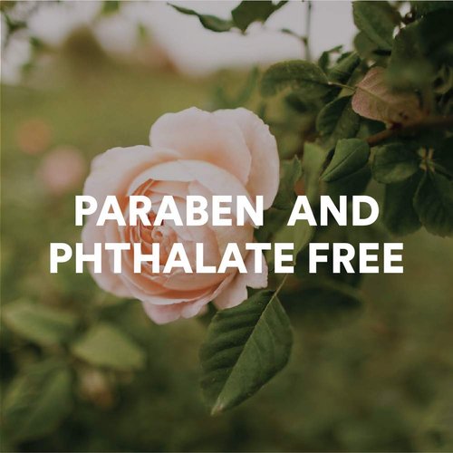 Camille Beckman Essentials Gift Basket, Camille, Glycerine Hand Therapy 6 oz, Silky Body Cream 13 oz, Hand and Shower Cleansing Gel 13 oz, Glycerine Soap 3.5 oz, Bath Body Net, and Gift Basket