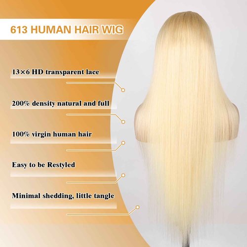 Goalroya 613 Lace Front Wig Human Hair 200 Density 13x6 Blonde Wig Human Hair Straight Pre plucked for Women 613 HD Lace Frontal Wig 26 Inch