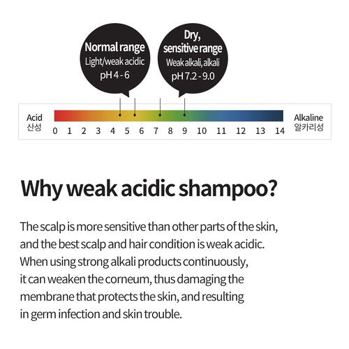 Daeng Gi Meo Ri- Ki Gold Ginseng Blossom 2 Shampoo Set, Real Ginseng Inside, Herbal Shampoo, Hair Growth, Preventing Hair Loss, 24.01 fl oz each