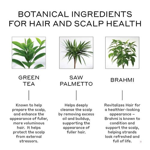 ZENAGEN Revolve Women's Thickening Shampoo | Supports Appearance of Fuller, Healthier-Looking Hair, Developed for Fine & Visibly Thinning Hair, Plant-Based, 5-Minute Treatment, 200 mL / 6.75 oz