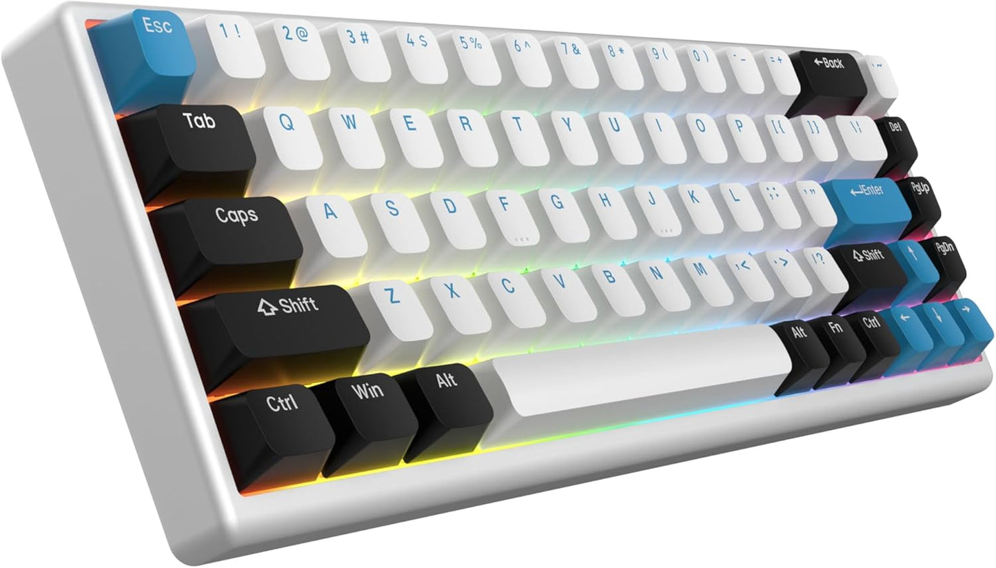 ARBITER Polar 65 - CNC Magnetic Gaming Keyboard w Rapid Trigger, Hall Effect Switches, CNC Aluminum Frame, Rapid Key, 65% Compact, Bright RGB, Dual-Shot PBT Keycaps - Kumo Blue