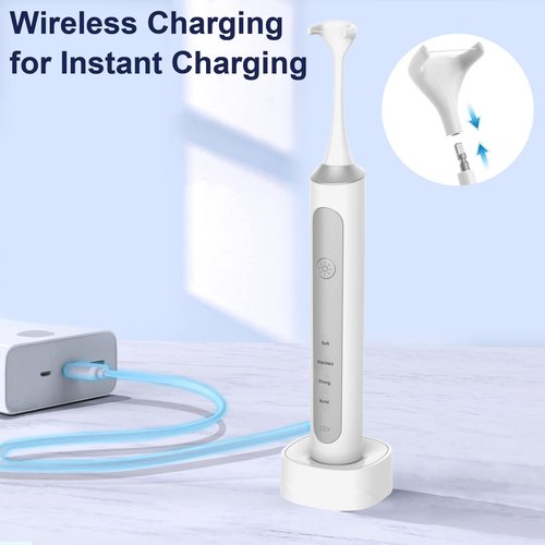 Electric Flosser with Replaceable Floss Picks (0.35 Foot (Pack of 1))