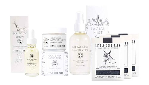 Little Seed Farm Activated Charcoal Bundle - Moisturizer + Soap + Elasticity Serum + Facial Mist Toner