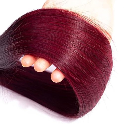 Ombre Burgundy Human Hair Bundles 20 22 24 Inch T1B/99J Straight Burgundy Bundles Human Hair 100% Unprocessed Soft Sew in Bundle with Double Weft for Black Women
