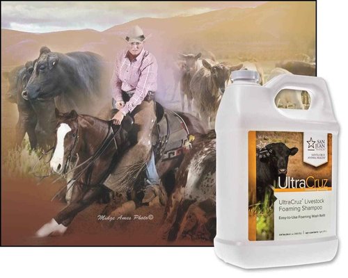 UltraCruz® Livestock Foaming Shampoo, 1 Gallon