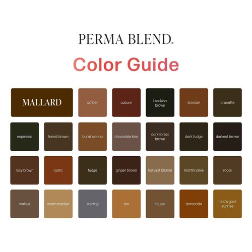 Perma Blend Cool Eyebrow Mini Set - Vegan PMU Tattoo Ink for Brows & Eyeliner - Microbalding Supplies for Permanent Makeup - Cool-Toned Pigment Kit for Cosmetic Tattoo Artists